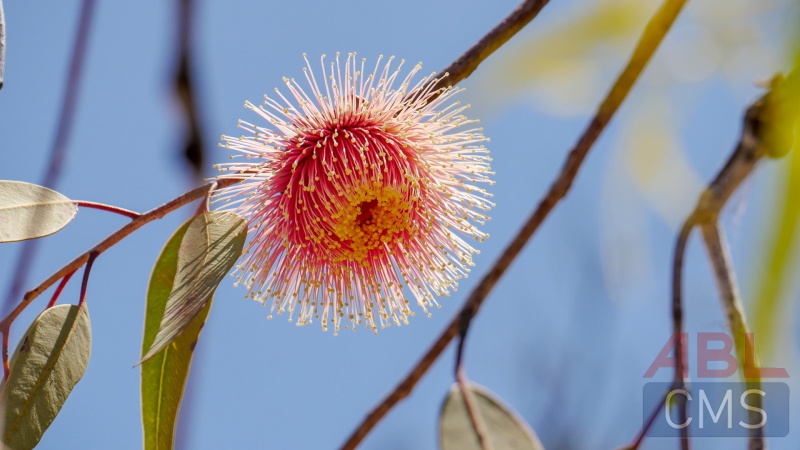 Lorem ipsum dolor sit amet consectetur - 6