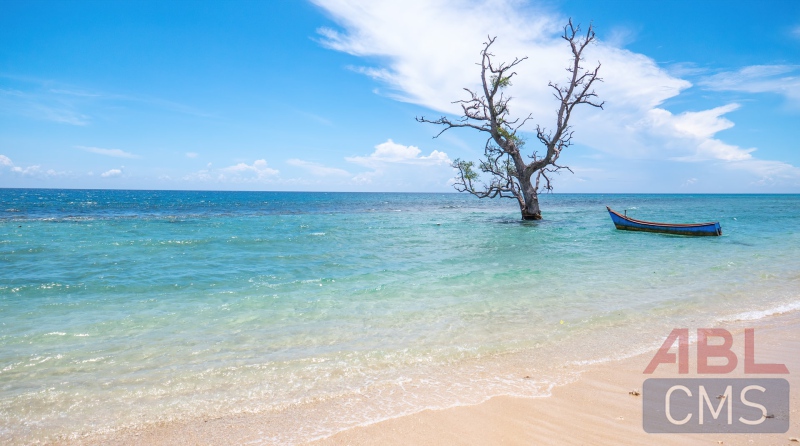 Lorem ipsum dolor sit amet consectetur - 6